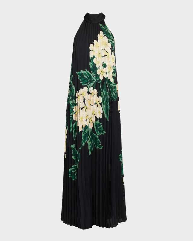 Lester Pleated Floral-Print Trapeze Maxi Dress